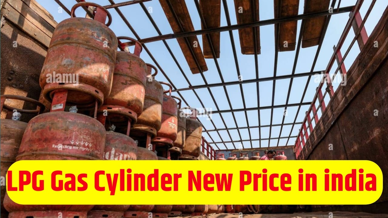 LPG Gas Cylinder New Price in India